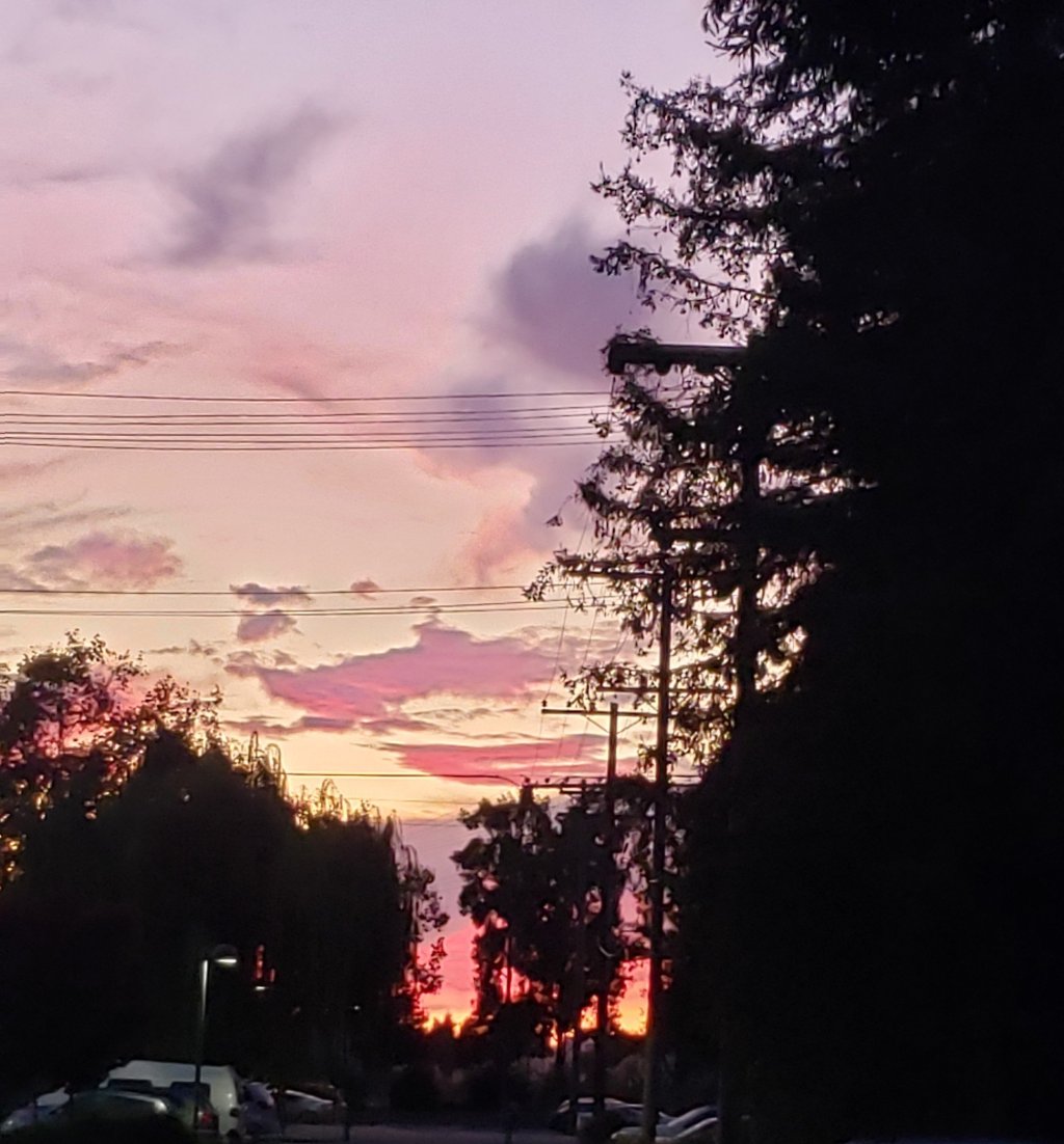 Discussion of Parable of the Sower by Octavia&nbsp;Butler