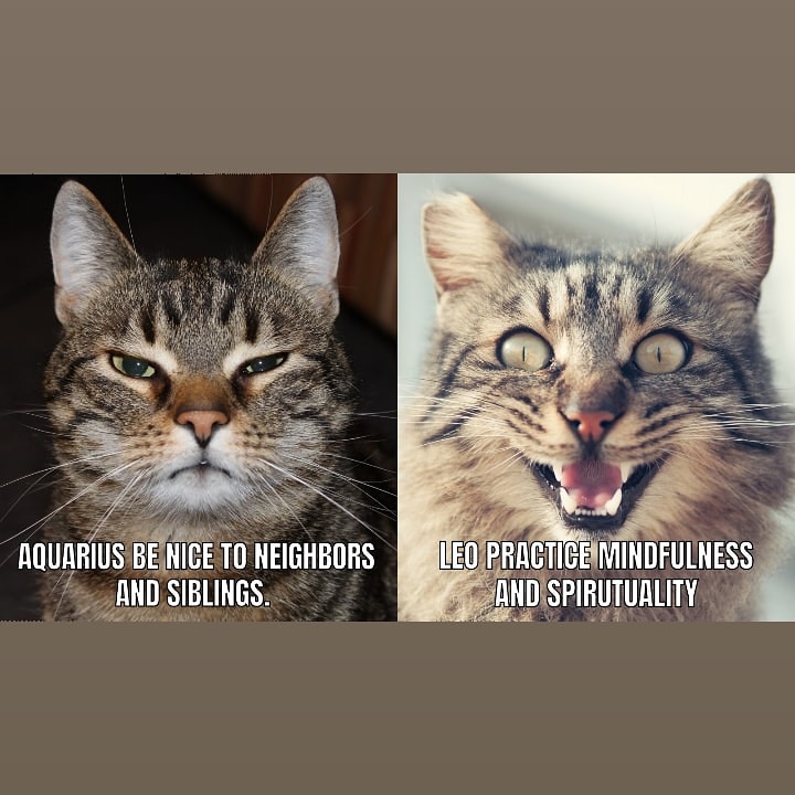 I see it&nbsp;coming